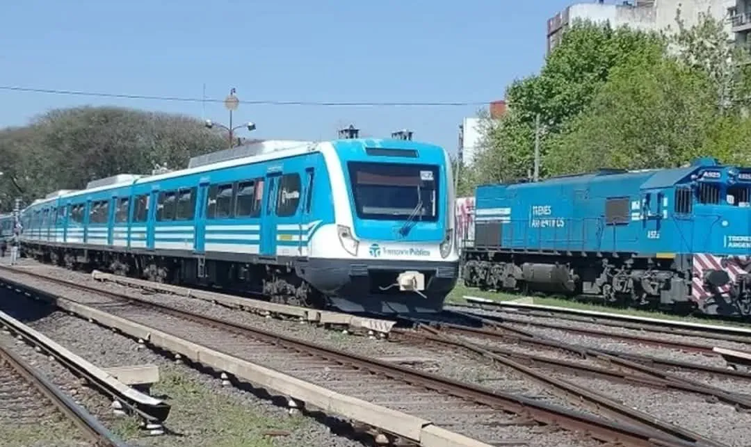 WhatsApp Image 2026-02-01 at 17.17.37 (1)